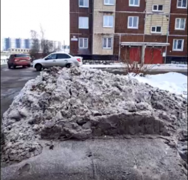 &laquo;Купите себе окуляры&raquo;: жители Красносельского района пожаловались на фиктивную &laquo;уборку&raquo; внутридворовых территорий