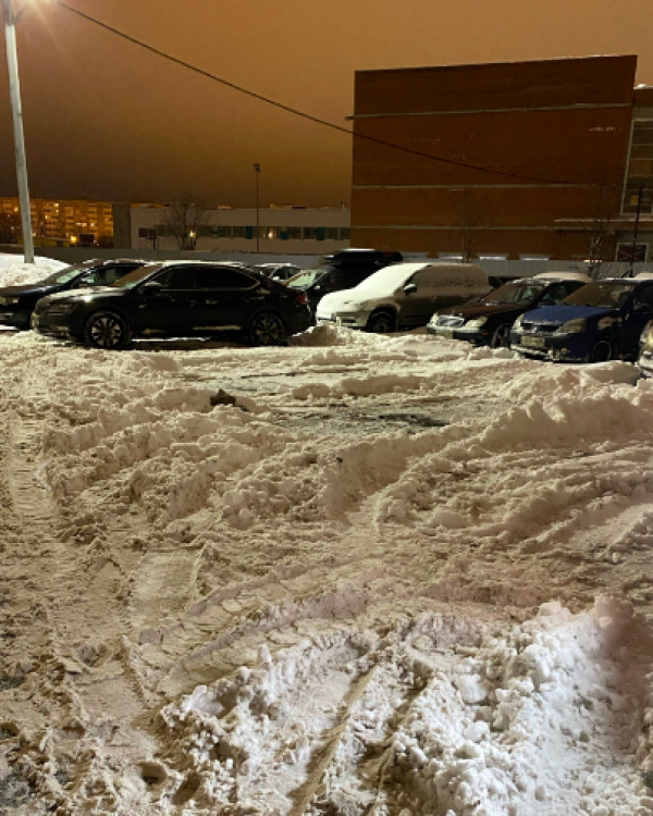Петербуржцы пожаловались депутату Александру Рассудову на плохую уборку дворов после первых декабрьских снегопадов